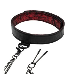 Halsfessel mit Nippelklemmen „Sweet Anticipation Collar Nipple Clamps“