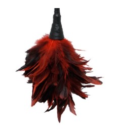 Federstab „Frisky Feather Duster“