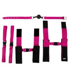 10-teiliges Bondage-Set „Pink Passion Bondage Kit“