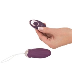  steuerbar per Fernbedienung