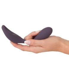 Doppelvibrator „Remote Controlled Couple's Vibrator“ mit kabelloser Fe