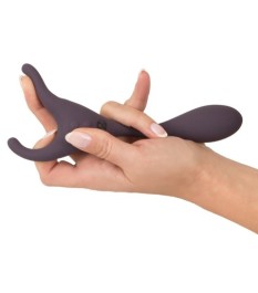 Doppelvibrator „Remote Controlled Couple's Vibrator“ mit kabelloser Fe