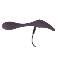 Doppelvibrator „Remote Controlled Couple's Vibrator“ mit kabelloser Fe