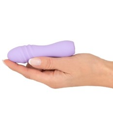 Minivibrator mit extrem starker Vibration (10 Modi)