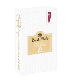 Prostata-Vibrator mit Fernbedienung