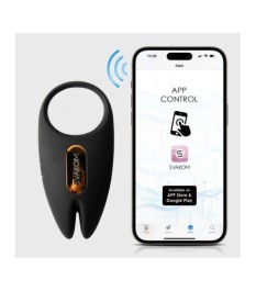 Vibro-Penisring „Winni 2“ mit Fernbedienung