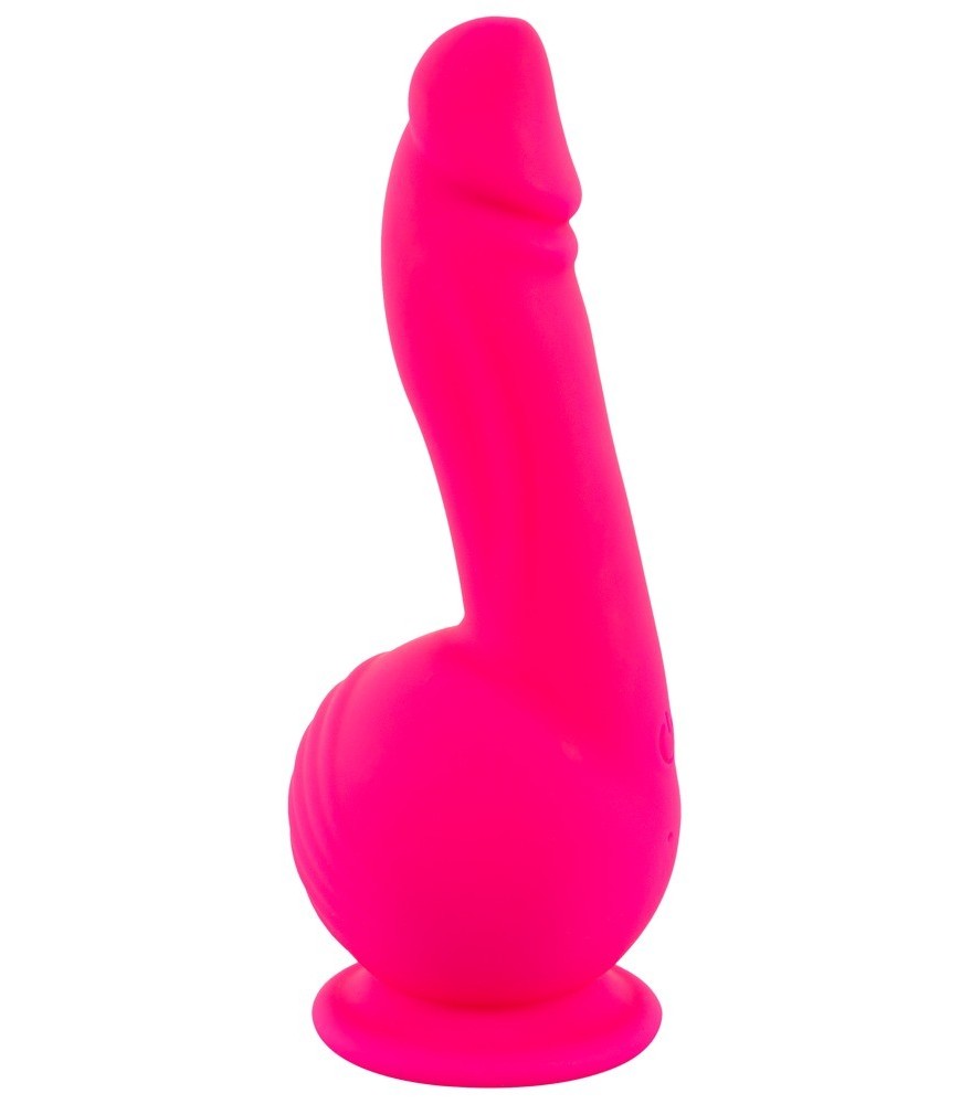 „Powerful Vibrator“ mit 2 Motoren