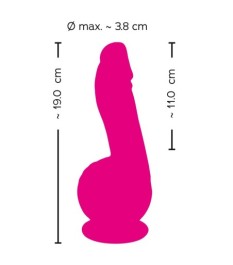 „Powerful Vibrator“ mit 2 Motoren