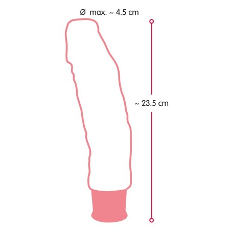 Vibro-Analplug „Double-ended Butt Plug with Vibration“