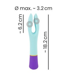 Vibrator mit 2 Motoren und 10 Vibrationsmodi