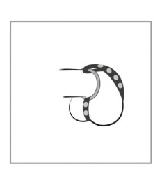 4-teiliges Set „Riemen" plus 3 Penisringe, Hodenriemen verstellbar