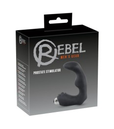 Prostatavibrator, 25 cm, 9 cm Einführtiefe