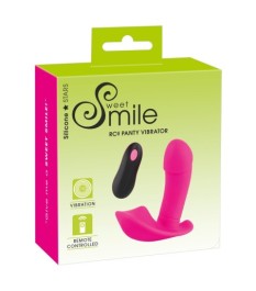 Vibrator „RC Panty Vibrator“, 10 Vibrationsmodi, Fernbedienung