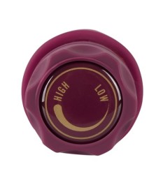 Vibrator, 19,2 cm, stufenlos regelbare Multispeed-Vibration