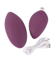 Auflegevibrator mit Fernbedienung