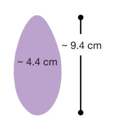 Auflegevibrator mit Fernbedienung