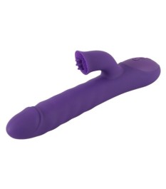 Rabbitvibrator „Thrusting & Rotating“