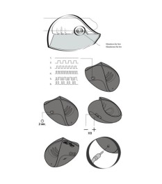 Masturbator „Pulse Solo Essential“