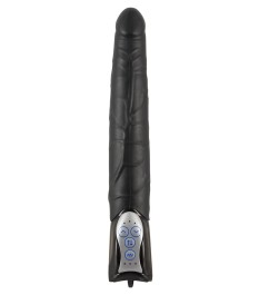 Vibrator „Push Thrusting Vibrator“