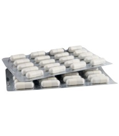 Kapseln „Sex-Energetikum“