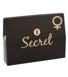 4-teiliges Set „Your Secret Pleasure“ für Frauen mit Toys und Massage-Öl