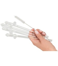 5-teilliges Strohhalm-Set „Glass Drinking Straw Willy“, aus wiederverw