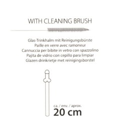 5-teilliges Strohhalm-Set „Glass Drinking Straw Willy“, aus wiederverw